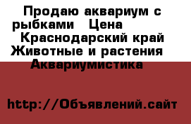 Продаю аквариум с рыбками › Цена ­ 3 000 - Краснодарский край Животные и растения » Аквариумистика   
